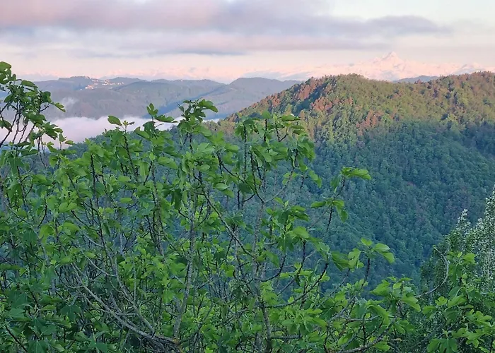 Cascina Bricco - Perletto By Interhome Apartment Olmo Gentile