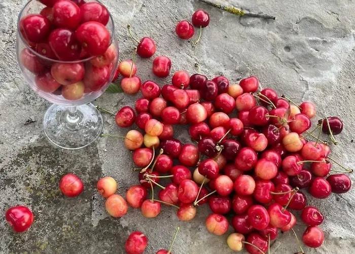 Cascina Bricco - Perletto By Interhome * Olmo Gentile